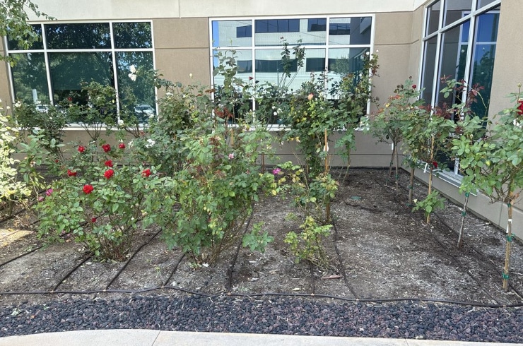 Garcia Landscape and Tree Service