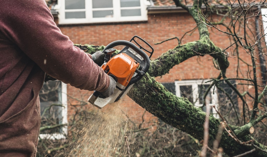 Garcia Landscape and Tree Service