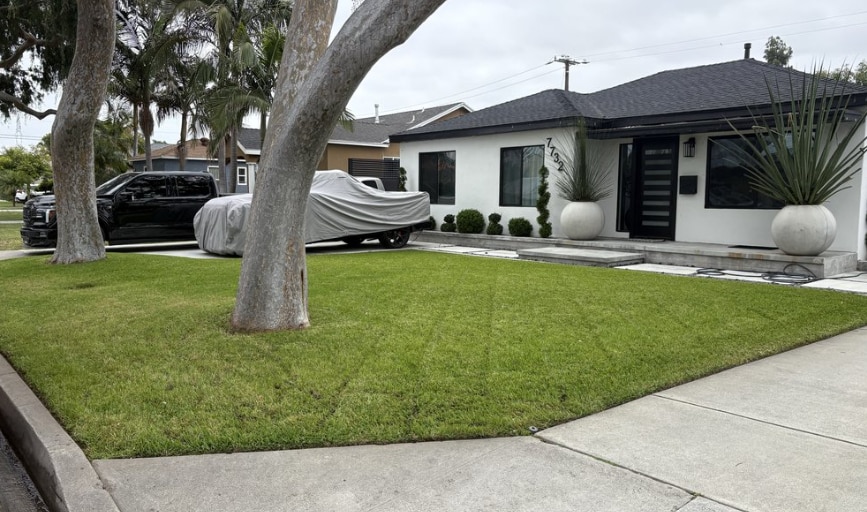 Landscaping